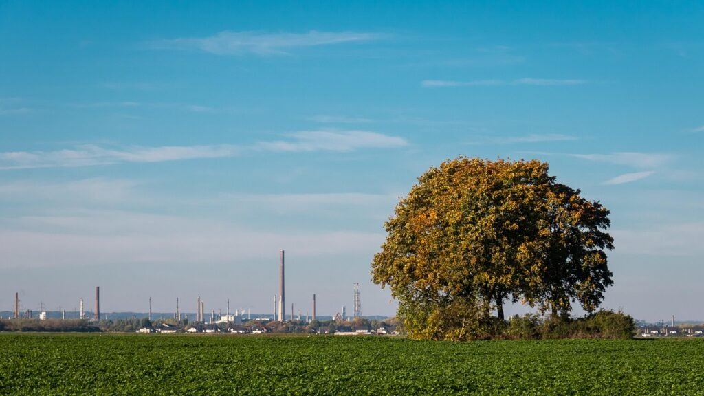 agriculture, nature, industry, contrast, rural, field, fields, environment
